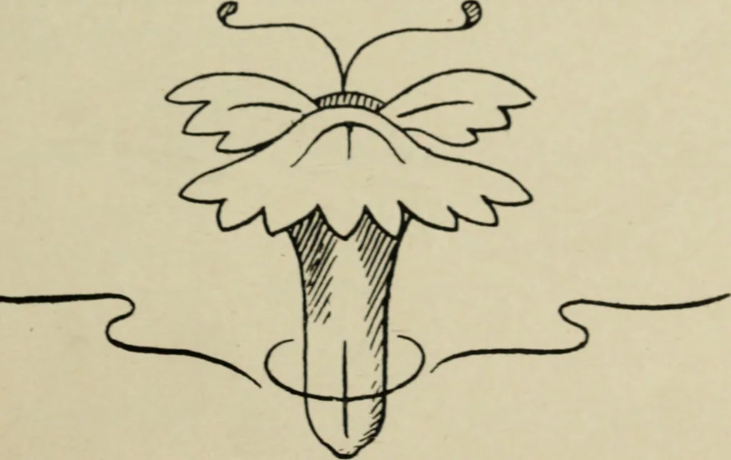 An illustration from L'Art ornamental, 1916, leaf 4