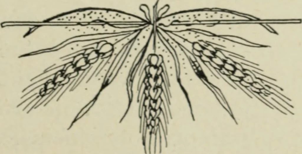 An illustration from L'Art ornamental, 1916, leaf 42