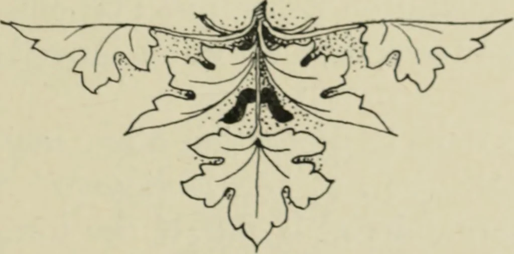 An illustration from L'Art ornamental, 1916, leaf 60