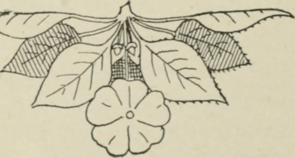 An illustration from L'Art ornamental, 1916, leaf 93