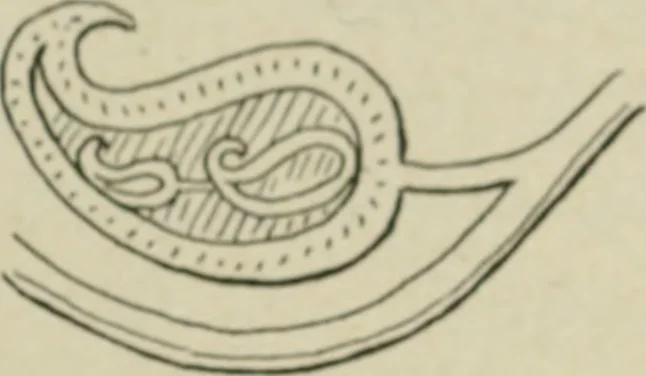An illustration from L'Art ornamental, 1916, leaf 98