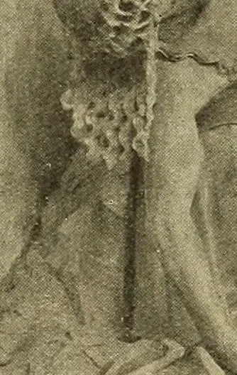 An illustration from L'art religieux de la fin du moyen âge en France; étude sur l'iconographie du moyen âge et sur ses sources d'inspiration;, 1908, leaf 142