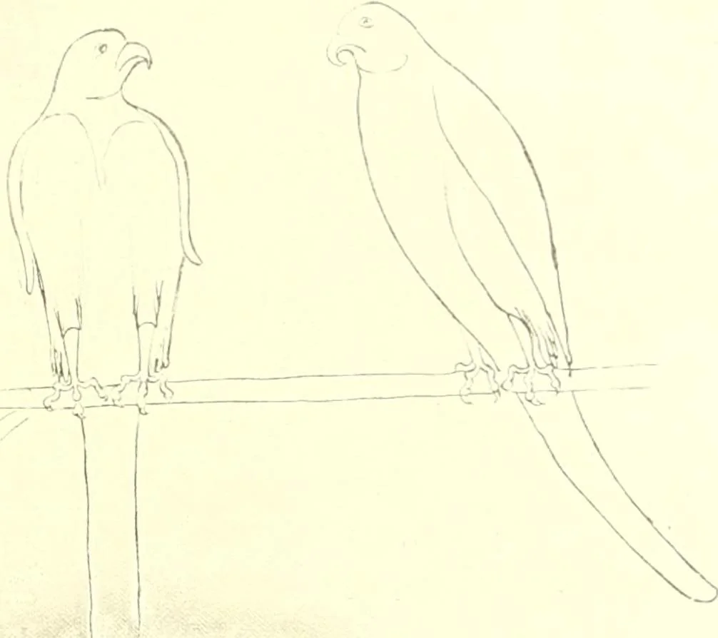 An illustration from L'art religieux du XIIIe siècle en France : étude sur l'iconographie du moyen age et sur ses sources d'inspiration, 1910, leaf 86