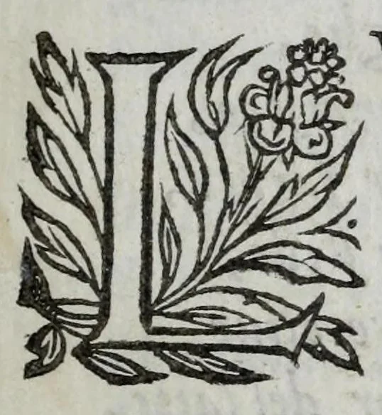An illustration from La sampogna del Cavalier Marino : diuisa in idillij fauolosi, et pastorali, 1620, leaf 9