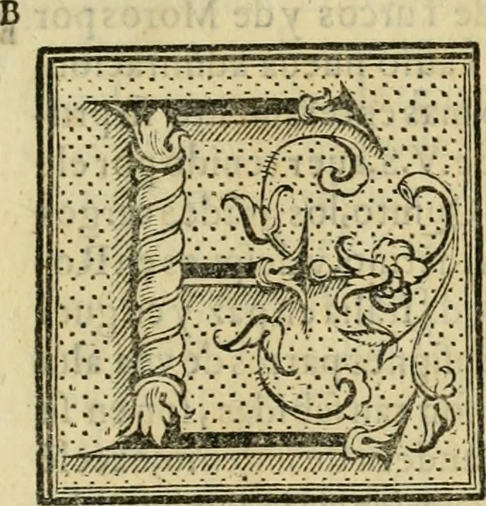 An illustration from Las antigvedades de las civdades de España : que van nombradas en la Coronica, con la aueriguacion de sus sitios, y nõbres antiguos, 1575, leaf 10