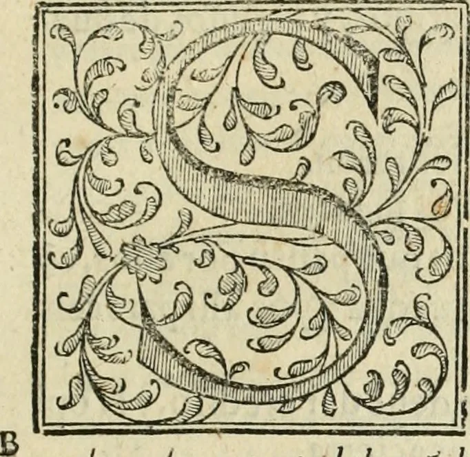 An illustration from Las antigvedades de las civdades de España : que van nombradas en la Coronica, con la aueriguacion de sus sitios, y nõbres antiguos, 1575, leaf 20