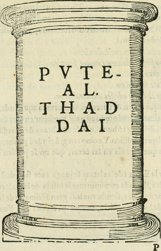 An illustration from Las antigvedades de las civdades de España : que van nombradas en la Coronica, con la aueriguacion de sus sitios, y nõbres antiguos, 1575, leaf 246