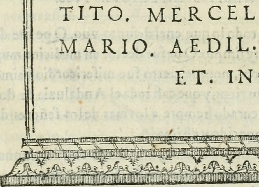 An illustration from Las antigvedades de las civdades de España : que van nombradas en la Coronica, con la aueriguacion de sus sitios, y nõbres antiguos, 1575, leaf 248