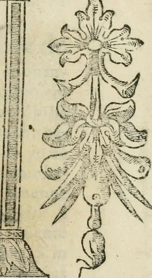 An illustration from Las antigvedades de las civdades de España : que van nombradas en la Coronica, con la aueriguacion de sus sitios, y nõbres antiguos, 1575, leaf 8