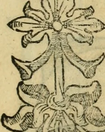 An illustration from Las antigvedades de las civdades de España : que van nombradas en la Coronica, con la aueriguacion de sus sitios, y nõbres antiguos, 1575, leaf 8