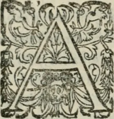 An illustration from Las antigvedades de las civdades de España : que van nombradas en la Coronica, con la aueriguacion de sus sitios, y nõbres antiguos, 1575, leaf 85