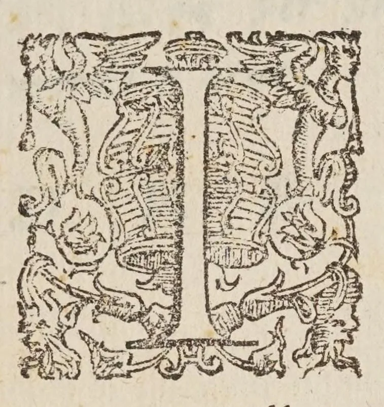 An illustration from La Scanderbeide : poema heroico, 1606, leaf 12