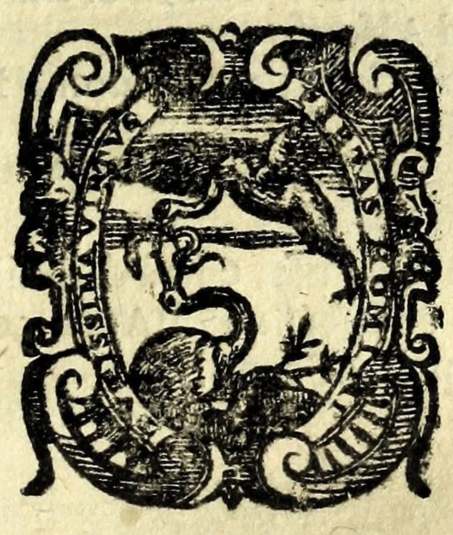 An illustration from La schiava : comedia nova, 1609, leaf 3