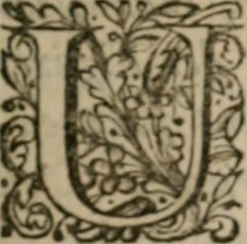 An illustration from La science des hieroglyphes, ou, L'art d'exprimer par des figures symboliques, les vertus, les vices, les passions & les moeurs &c. avec diférentes [sic] devices historiques : ouvrage utile aux peintres, aux statuaires, aux graveurs & aux amateurs des arts qui dépendent du dessein, 1736, leaf 6