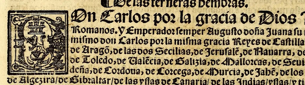 An illustration from Las cortes de Toledo. Del año de mil & quinie[n]tos & veynte & cinco años. : Las leyes y prematicas reales hechas por Sus Magestades. En las cortes q[ue] mandaron hazer & hizieron en la ciudad de Toledo. En las quales ay muchas leyes y decisiones nueuas y aprouacion y declaracion de muchas prematicas y leyes del reyno: sin las quales ningun administrador de justicia deue estar. 1550, 1550, leaf 48