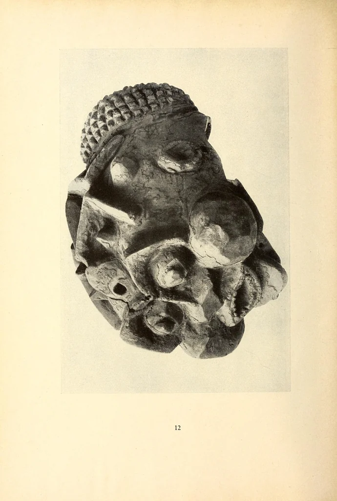 An illustration from La sculpture africaine, 1922, leaf 46
