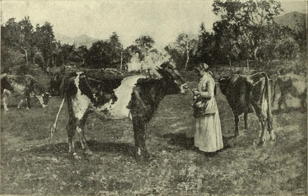 An illustration from La scultura, la pittura di U. Fleres, P. Molmenti, U. Ojetti, G. Menasci : le arti applicate di Guido Menasci, 1900, leaf 407