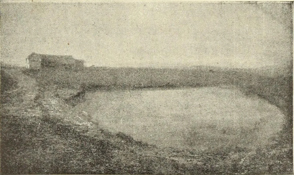 An illustration from La scultura, la pittura di U. Fleres, P. Molmenti, U. Ojetti, G. Menasci : le arti applicate di Guido Menasci, 1900, leaf 414