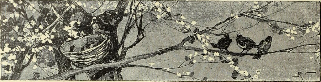 An illustration from La scultura, la pittura di U. Fleres, P. Molmenti, U. Ojetti, G. Menasci : le arti applicate di Guido Menasci, 1900, leaf 527