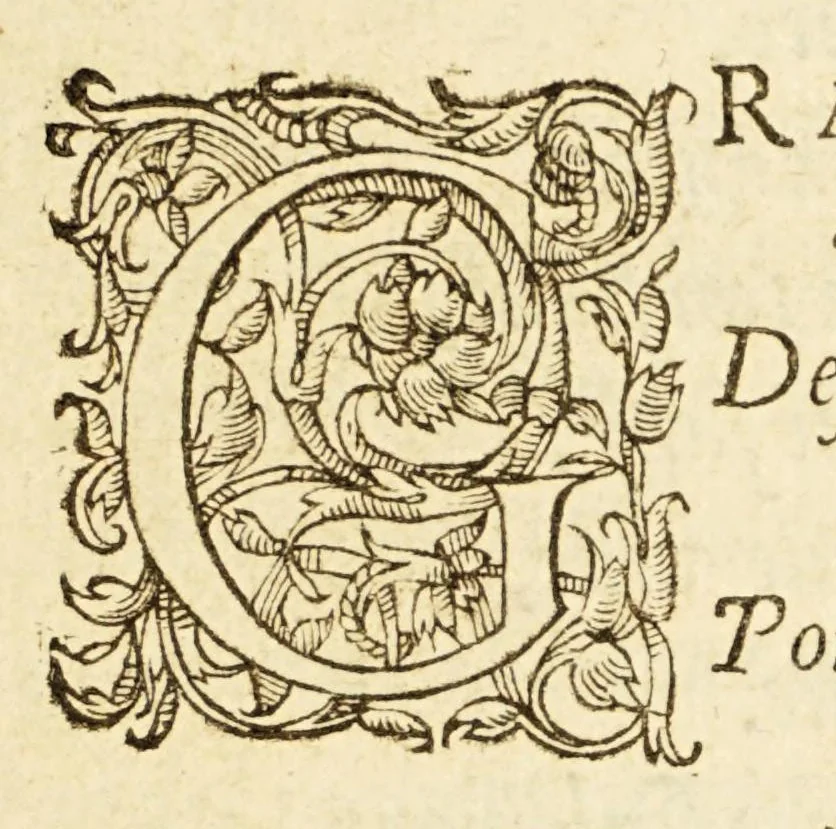 An illustration from La seconde semaine : ov Enfance du monde,, 1584, leaf 15