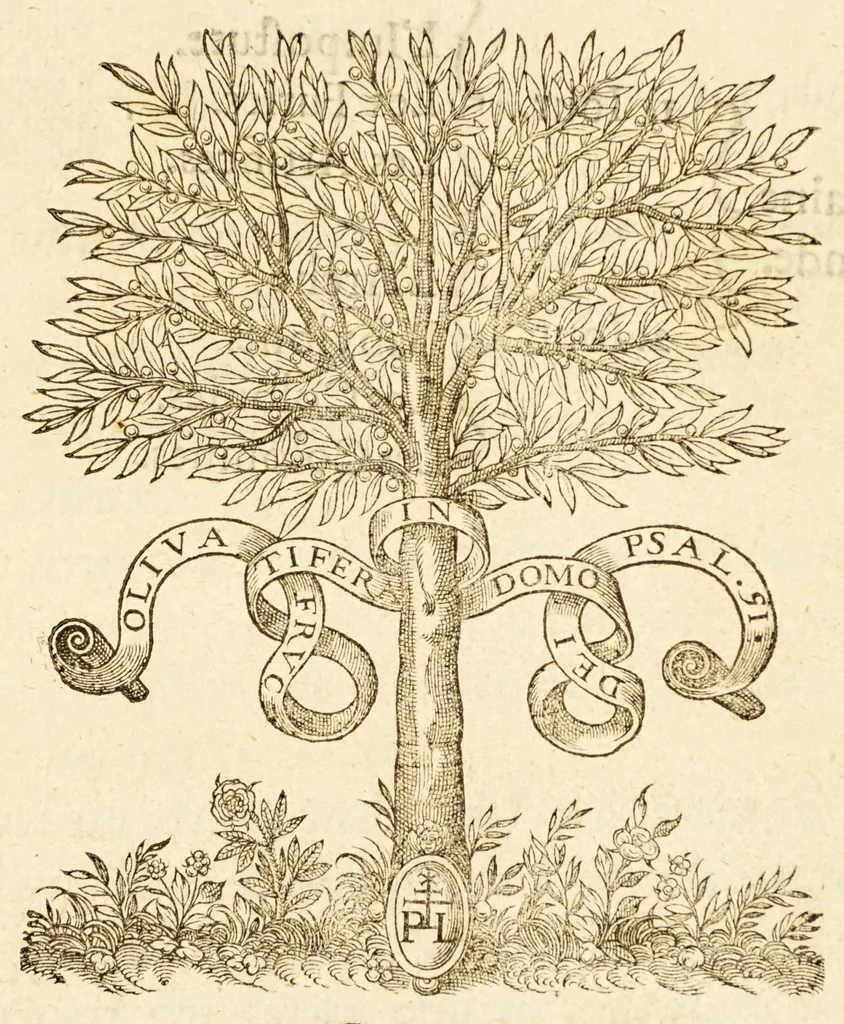 An illustration from La seconde semaine : ov Enfance du monde,, 1584, leaf 7