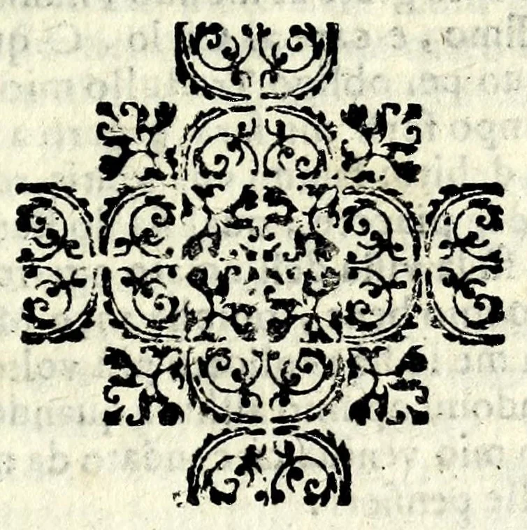 An illustration from La selva incantata : comedia boscareccia, 1626, leaf 113