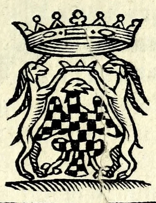 An illustration from La selva incantata : comedia boscareccia, 1626, leaf 9