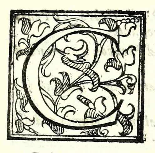 An illustration from La Semiramis : tragedia, 1593, leaf 165