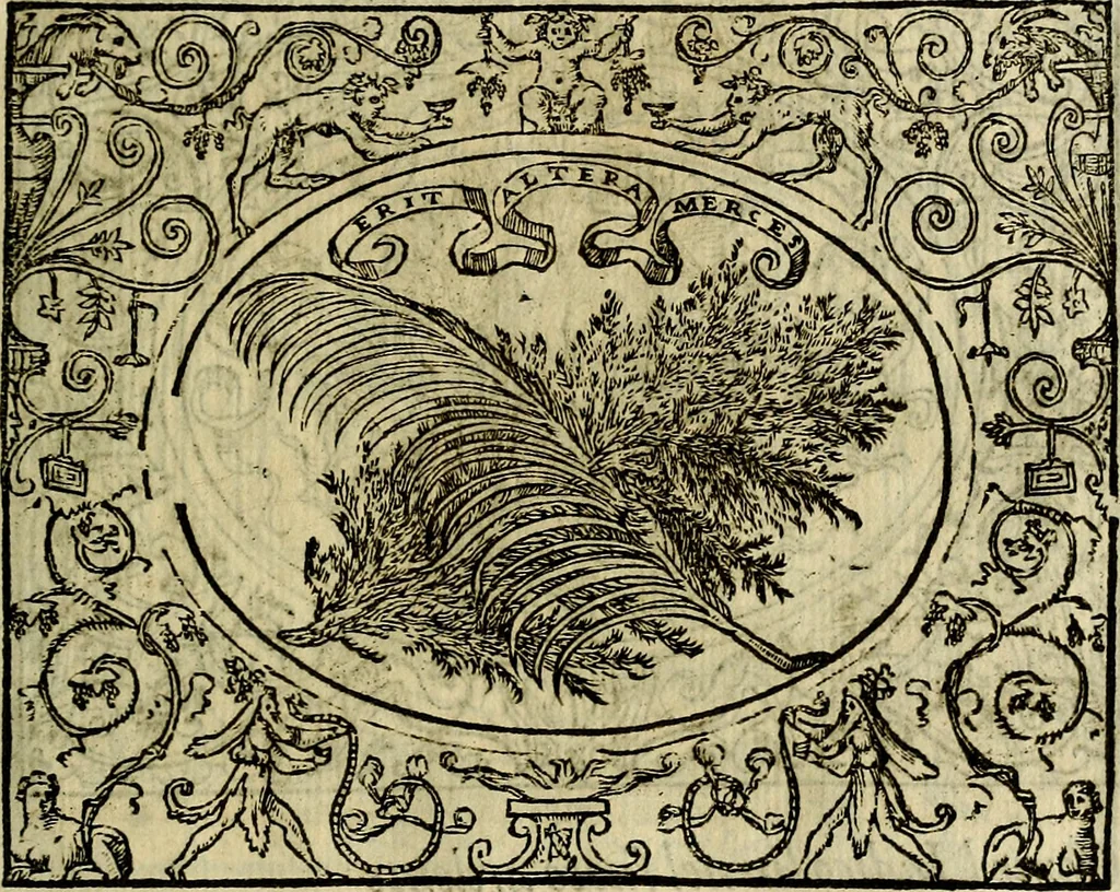 An illustration from La sententiose imprese, et dialogo del Symeone. Con la verificatione del sito di Gergobia, la geografia d'Ouernia, la figura & tempio d'Apolline in Velay; & il suo hieroglyfico monumento, natiuità, vita & epitaffio, 1560, leaf 104