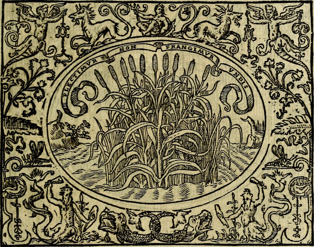 An illustration from La sententiose imprese, et dialogo del Symeone. Con la verificatione del sito di Gergobia, la geografia d'Ouernia, la figura & tempio d'Apolline in Velay; & il suo hieroglyfico monumento, natiuità, vita & epitaffio, 1560, leaf 108