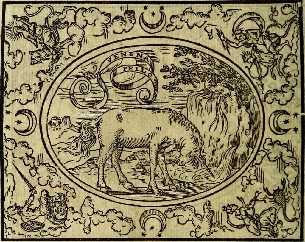An illustration from La sententiose imprese, et dialogo del Symeone. Con la verificatione del sito di Gergobia, la geografia d'Ouernia, la figura & tempio d'Apolline in Velay; & il suo hieroglyfico monumento, natiuità, vita & epitaffio, 1560, leaf 109