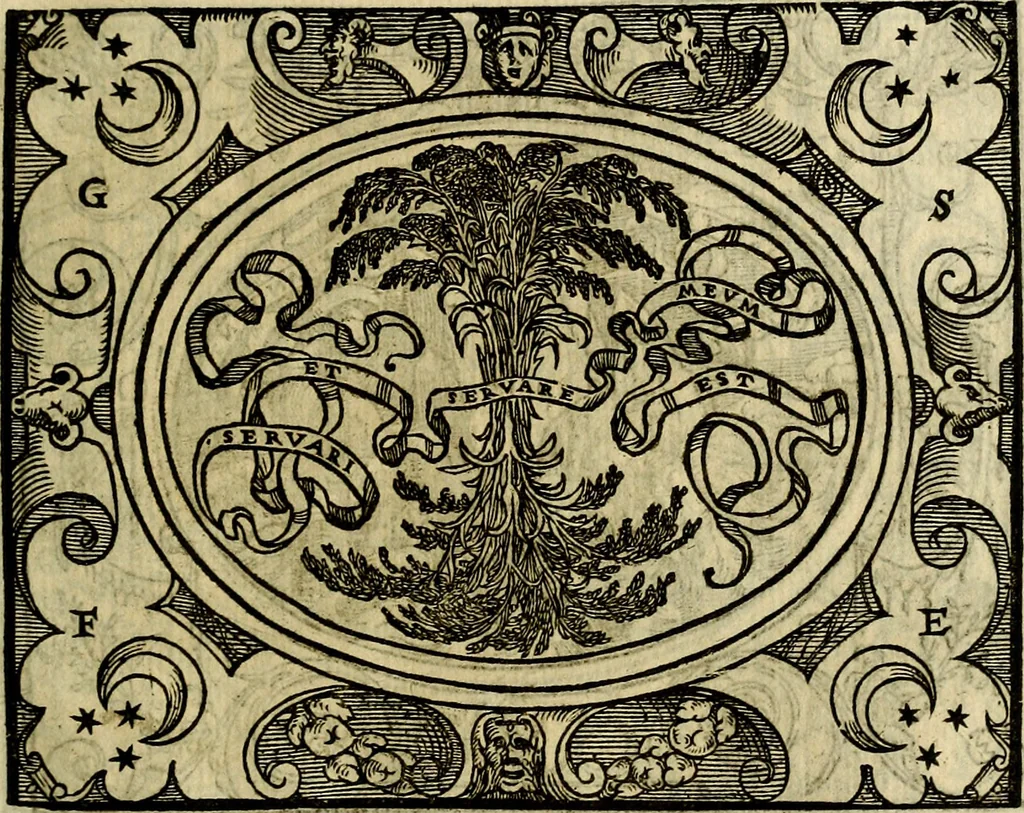 An illustration from La sententiose imprese, et dialogo del Symeone. Con la verificatione del sito di Gergobia, la geografia d'Ouernia, la figura & tempio d'Apolline in Velay; & il suo hieroglyfico monumento, natiuità, vita & epitaffio, 1560, leaf 126