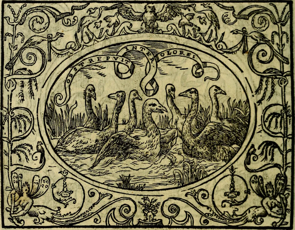 An illustration from La sententiose imprese, et dialogo del Symeone. Con la verificatione del sito di Gergobia, la geografia d'Ouernia, la figura & tempio d'Apolline in Velay; & il suo hieroglyfico monumento, natiuità, vita & epitaffio, 1560, leaf 143