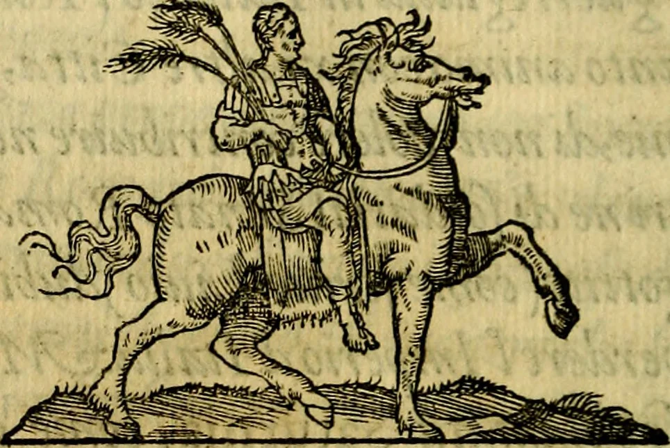 An illustration from La sententiose imprese, et dialogo del Symeone. Con la verificatione del sito di Gergobia, la geografia d'Ouernia, la figura & tempio d'Apolline in Velay; & il suo hieroglyfico monumento, natiuità, vita & epitaffio, 1560, leaf 219