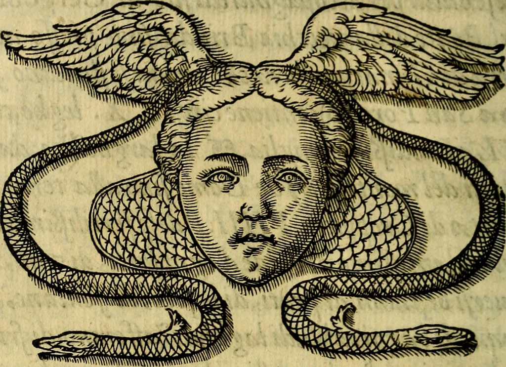 An illustration from La sententiose imprese, et dialogo del Symeone. Con la verificatione del sito di Gergobia, la geografia d'Ouernia, la figura & tempio d'Apolline in Velay; & il suo hieroglyfico monumento, natiuità, vita & epitaffio, 1560, leaf 327