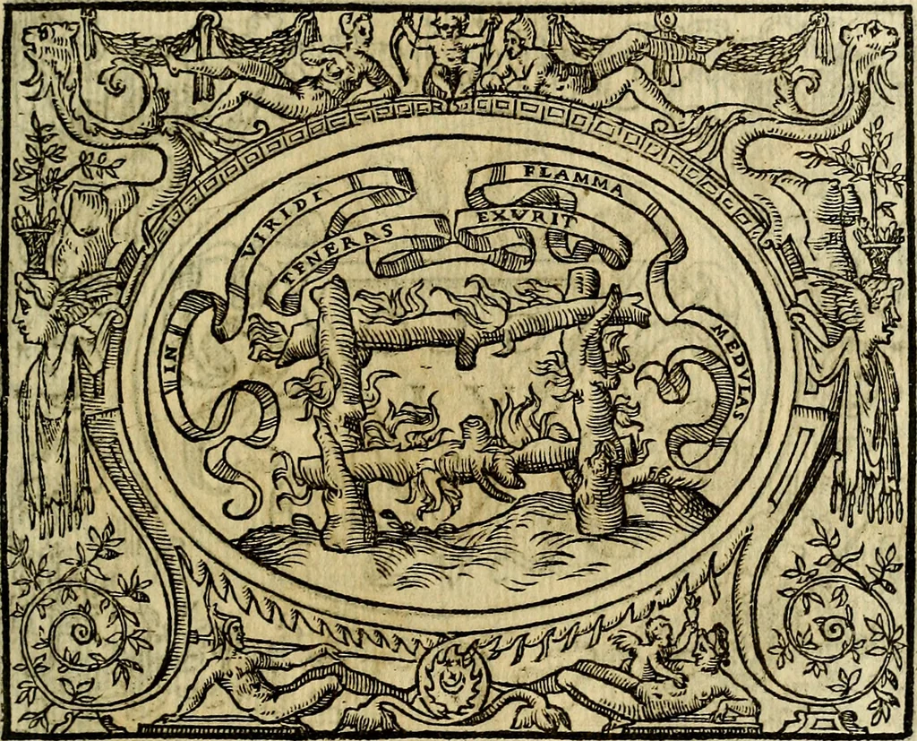 An illustration from La sententiose imprese, et dialogo del Symeone. Con la verificatione del sito di Gergobia, la geografia d'Ouernia, la figura & tempio d'Apolline in Velay; & il suo hieroglyfico monumento, natiuità, vita & epitaffio, 1560, leaf 80