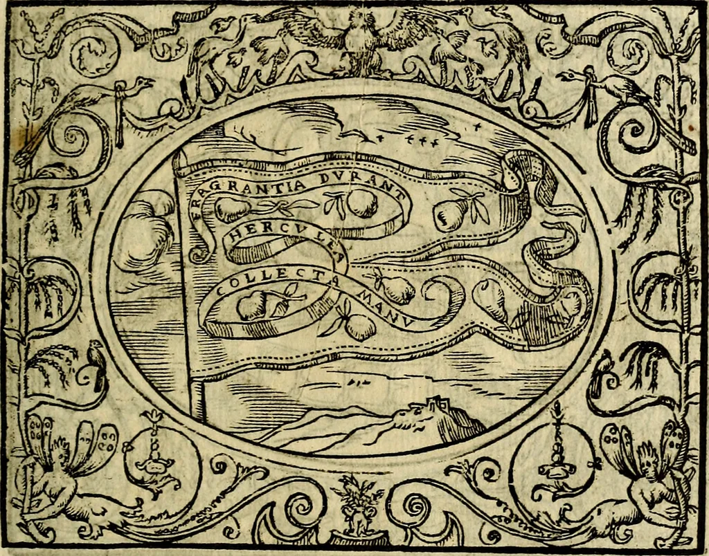 An illustration from La sententiose imprese, et dialogo del Symeone. Con la verificatione del sito di Gergobia, la geografia d'Ouernia, la figura & tempio d'Apolline in Velay; & il suo hieroglyfico monumento, natiuità, vita & epitaffio, 1560, leaf 98