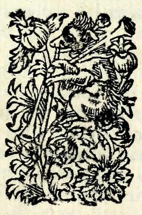 An illustration from La serva padrona : commedia, leaf 7