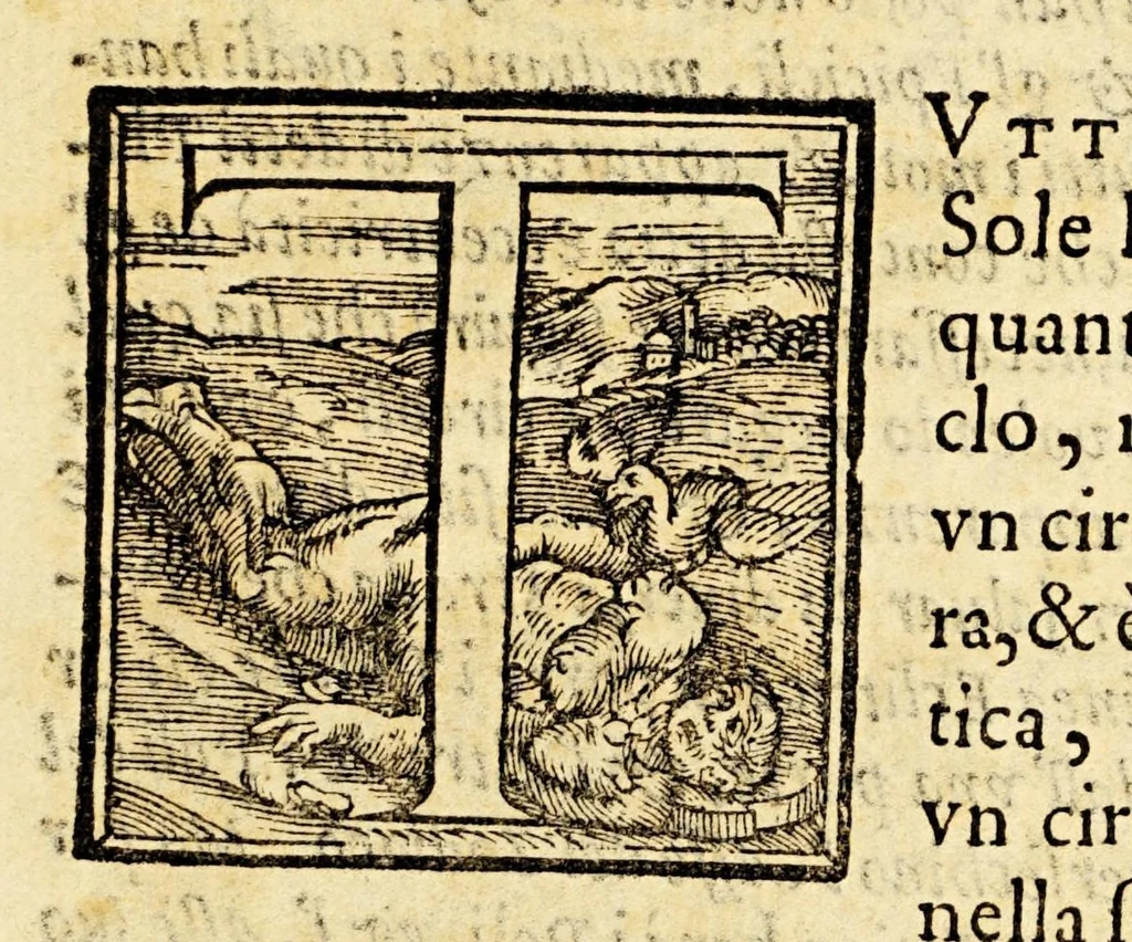 An illustration from La sfera di messer Giouanni Sacrobosco, 1579, leaf 77