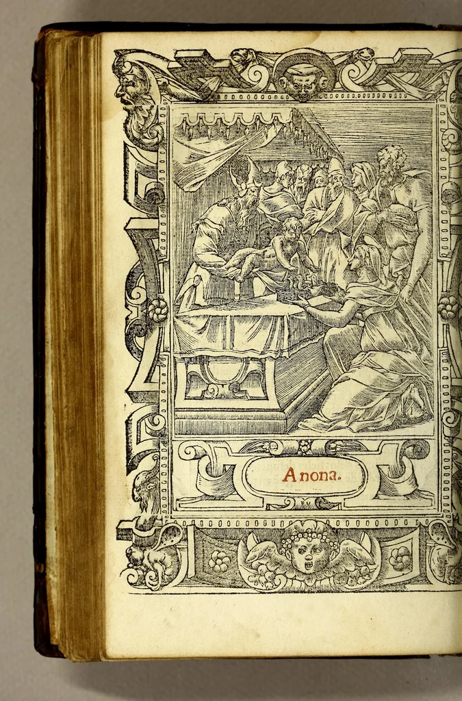 An illustration from Las horas de Nuestra Señora segu[n] el vso romano : enlas quales son añadidas muchas oraciones muy deuotas. : Y de nueuo el rosario de Nuestra Señora: y son ad longu[m] ésin [sic] require, 1551, leaf 154