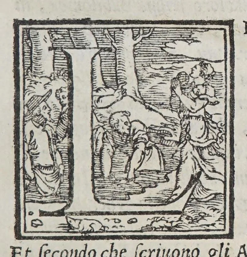 An illustration from L'Asia, 1561, leaf 25
