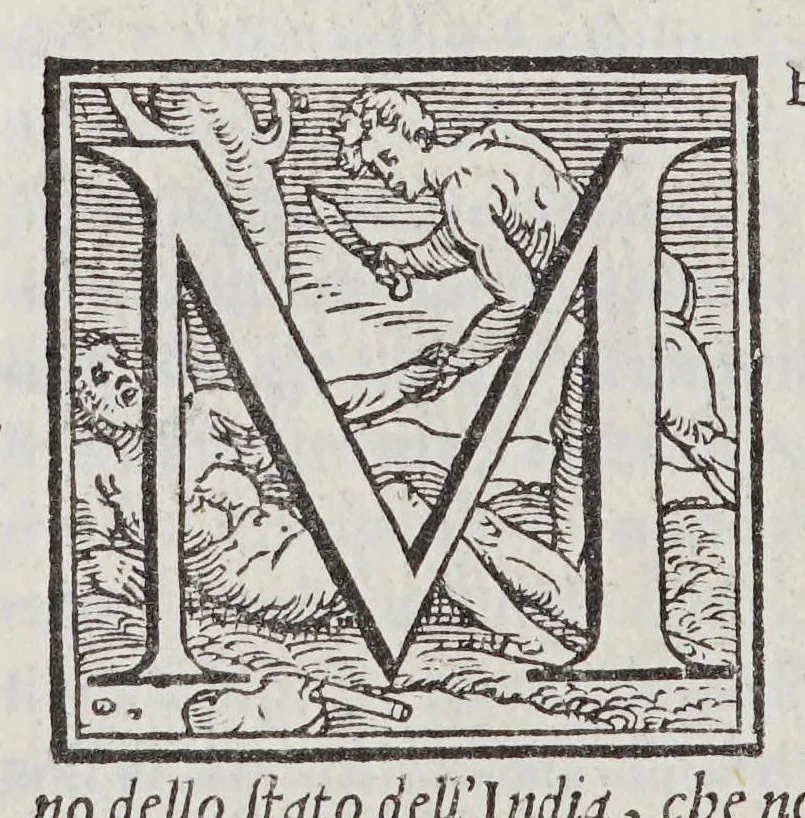 An illustration from L'Asia, 1561, leaf 850