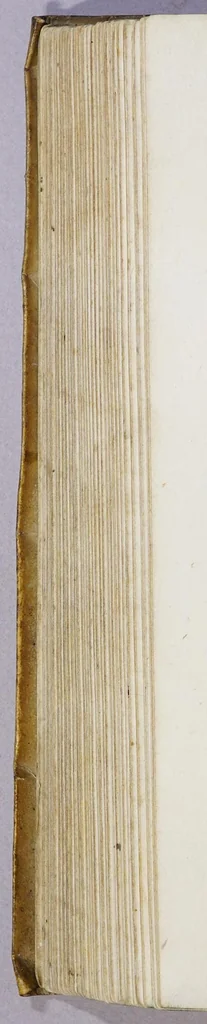 An illustration from L'Asia, 1562, leaf 470
