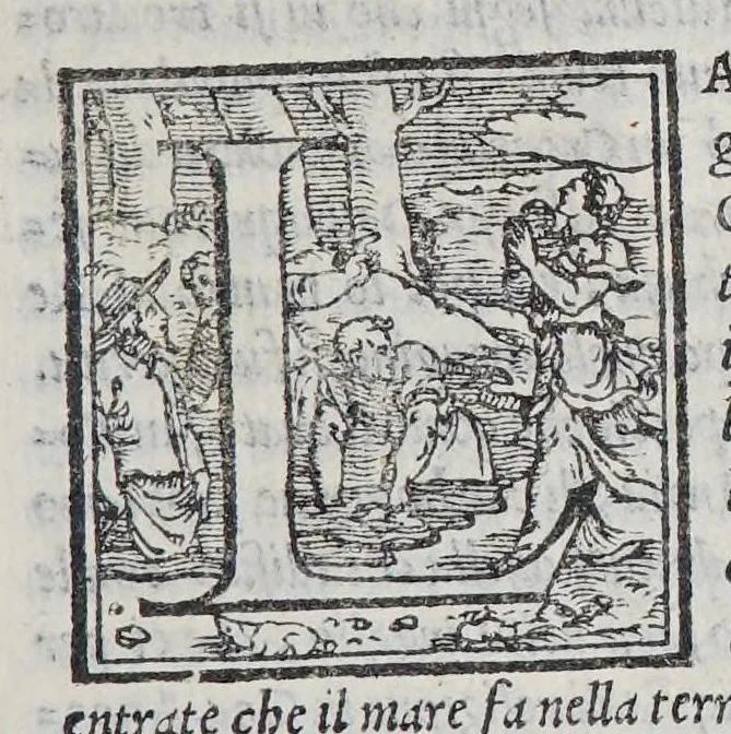 An illustration from L'Asia, 1562, leaf 625