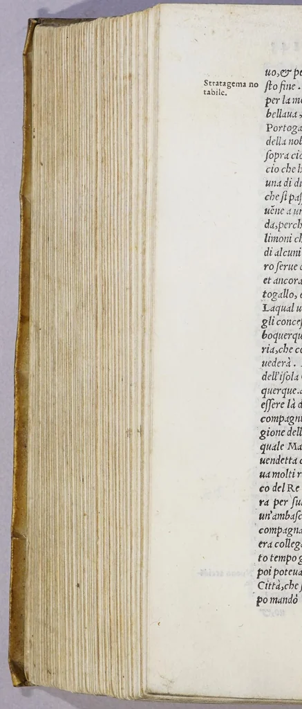 An illustration from L'Asia, 1562, leaf 726