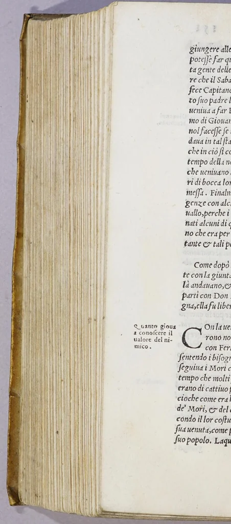 An illustration from L'Asia, 1562, leaf 742