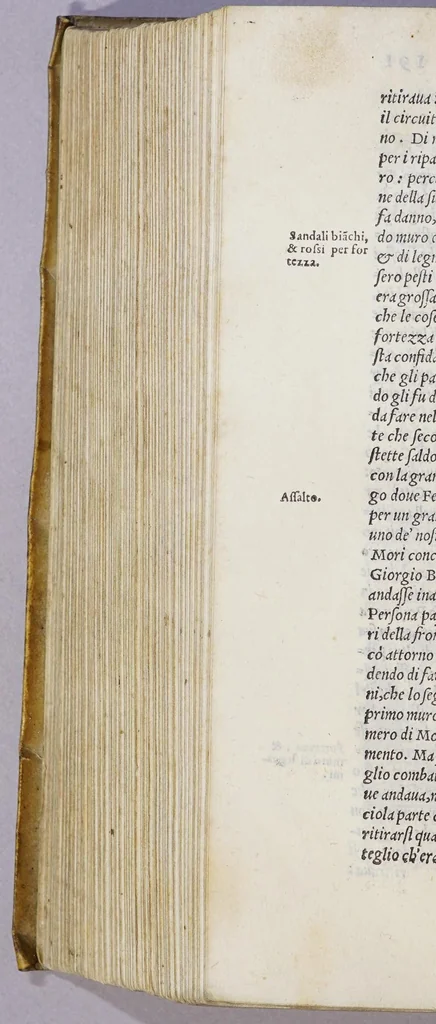 An illustration from L'Asia, 1562, leaf 822