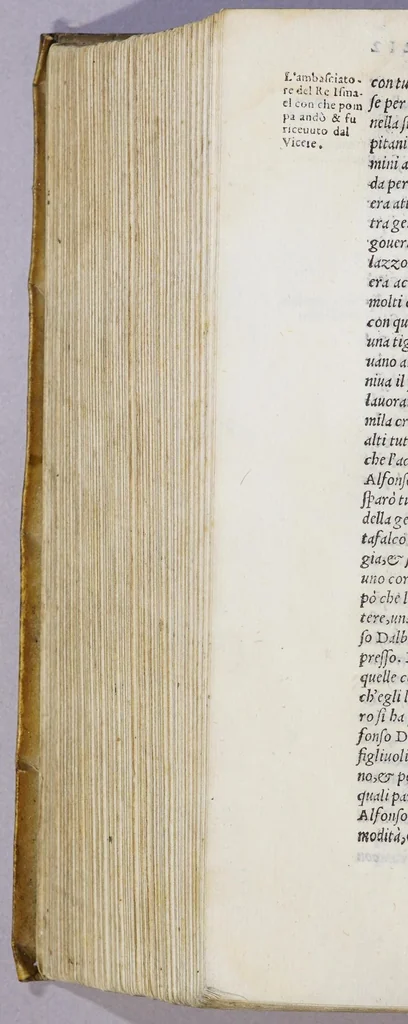 An illustration from L'Asia, 1562, leaf 864