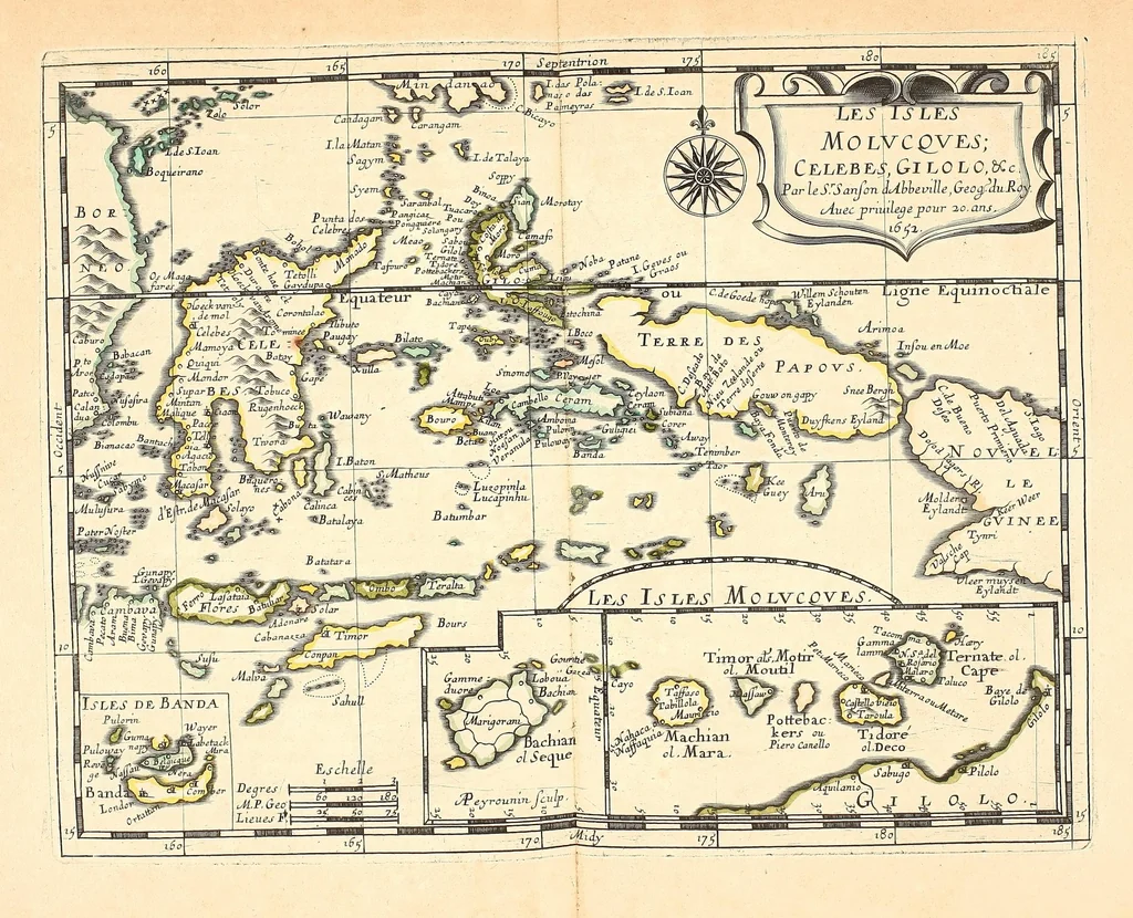 An illustration from [L'Asie, l'Afrique, l'Europe, et l'Amerique en plusieurs cartes nouvelles, et exactes] [cartographic material], 1658, leaf 171