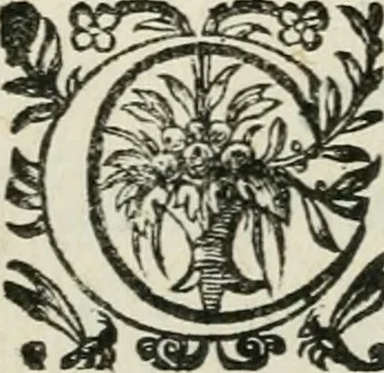 An illustration from La Silvanire, ou, La morte-vive, 1631, leaf 157